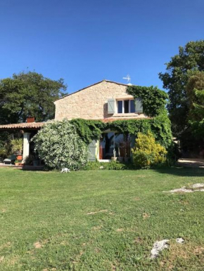 Magnifique Mas provençal dans le Luberon avec vue